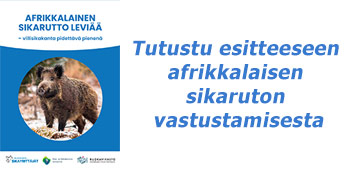 Sikarutto esitteen kansikuva