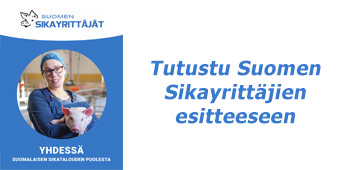 Sikayrittäjien esitteen kansikuva